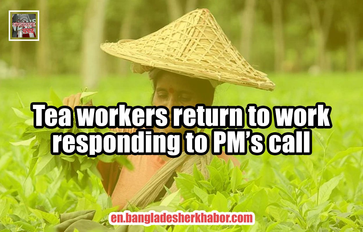 Tea workers return to work responding to PM’s call