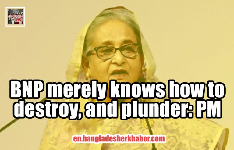 BNP merely knows how to destroy, and plunder: PM