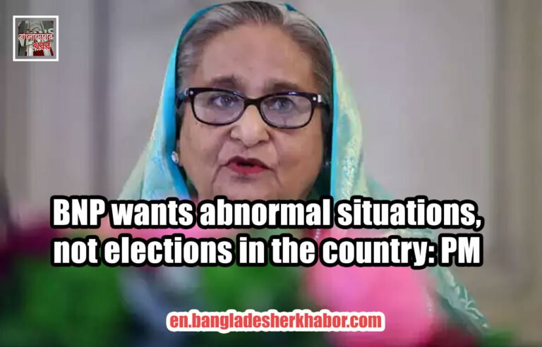 BNP wants abnormal situations, not elections in the country: PM