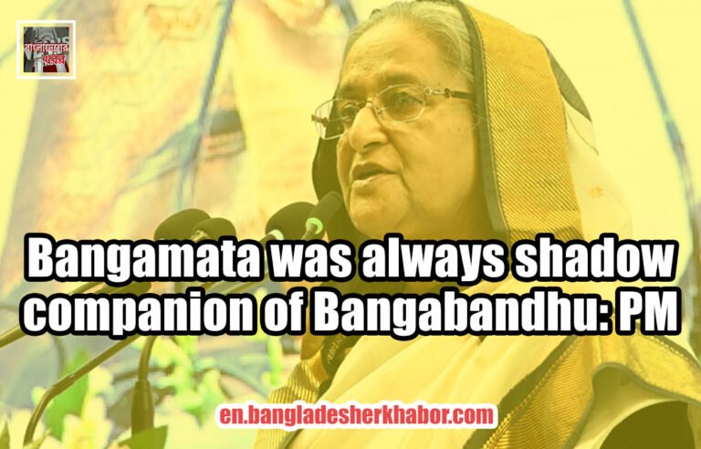 Bangamata was always shadow companion of Bangabandhu: PM