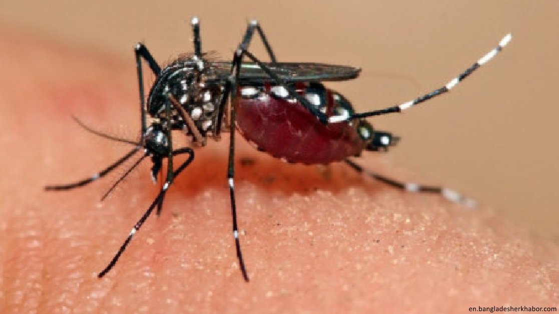 WHO urges swift action as Dengue fever cases Surge in Bangladesh