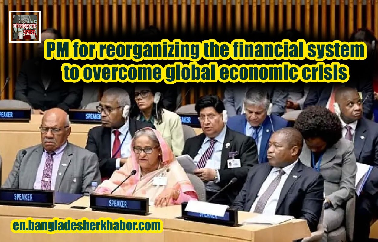 PM for reorganizing the financial system to overcome global economic crisis