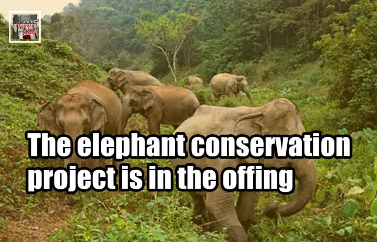 The elephant conservation project is in the offing